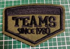 ヴィンテージ 刺繍 ワッペン 1970 1980 アメリカ ネバダ州 リノ B No.47 SランクTEAMS SINCE 1980 ワッペン 裏のり有り - メルカリ