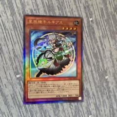 ドラゴンテイル　ルキアス　レリーフ　ウルトラのサムネイル