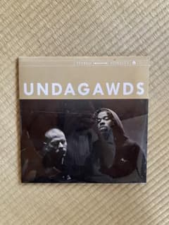 UNDAGAWDS レコード 2枚組 限定盤のサムネイル