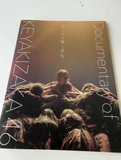 Documentary of 欅坂46 僕たちの嘘と真実 クリアポケットファイルのサムネイル