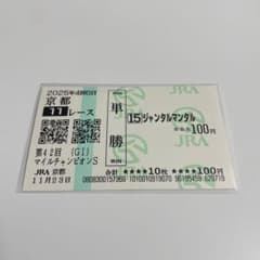 2025年 マイルチャンピオンシップ ジャンタルマンタル 現地単勝馬券
