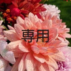 ポヨミ様のサムネイル