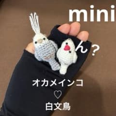 ◇ オカメインコ♡セキセイインコ♡インコ♡カラス♡文鳥 あみぐるみ