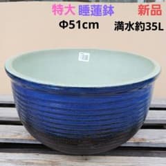 新品　特大　∅50　陶器　睡蓮鉢　メダカ鉢　ヒスイグリーン　手造　青＆緑　LLB 新品 特大 ∅51 陶器 睡蓮鉢 メダカ鉢 難有 ヒスイグリーン 青＆緑 LLB