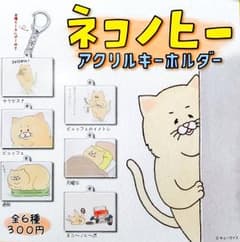 ネコノヒー ガチャ アクリルキーホルダーのサムネイル