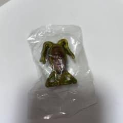 こびとずかん バイブスマダラのサムネイル