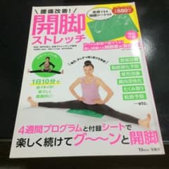 腰痛改善!開脚ストレッチ 実感できる開脚シート付きのサムネイル