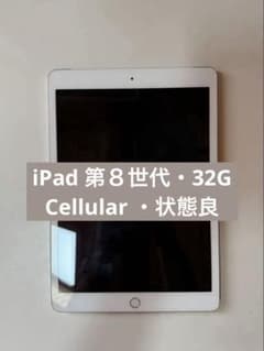 Apple iPad 第五世代 シルバー 本体 - メルカリ