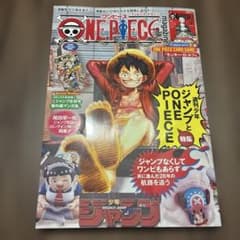 ワンピースマガジン 20号 本のみ プロモカードなし - メルカリ
