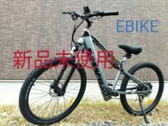 短期【送料込】E-BIKE　ディクスブレーキ　カラーDP　電動自転車　電動バイクのサムネイル