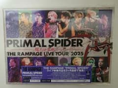 THE RAMPAGE PRIMAL SPIDER 巡らせる糸 DVD