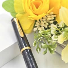 Pelikan ペリカン M400 万年筆 ペン先F刻印 筆記未確認 Pelikan ペリカン M400 万年筆 ペン先F刻印 筆記未確認 - メルカリ