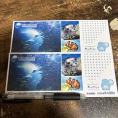 新江ノ島水族館 施設利用券 2枚セットのサムネイル