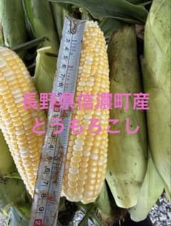 長野県信濃町産 ドキドキコーン6本のサムネイル