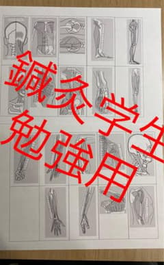 鍼灸　身体マップ　白図のサムネイル