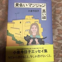 黄色いマンション 黒い猫 小泉今日子  週末のみ発送。のサムネイル