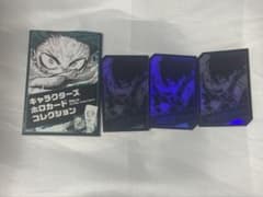 내 영웅 아카데미아 히로아카 홀로카드 홀로카 굉 초동