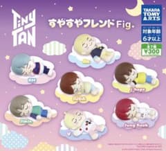 BTS タイニータン すやすやフレンド　テテのサムネイル