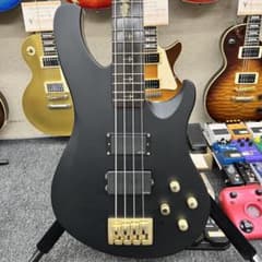11410】美品 SCHECTER Avenged Sevenfold - メルカリ