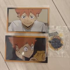 日向翔陽 まとめ売りのサムネイル