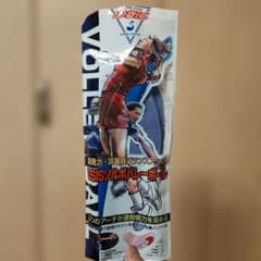 DSISソルボバレーボール　インソールのサムネイル