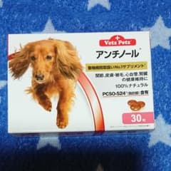 アンチノール 30粒 1箱のサムネイル
