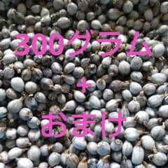 数珠玉   300グラム+おまけのサムネイル