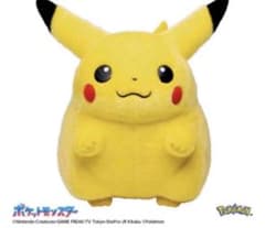 ポケモン30周年記念おかえり!ピカチュウ1/1のサムネイル