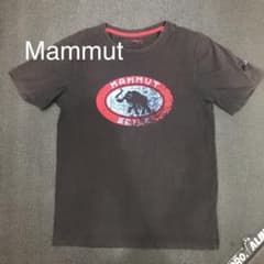 TシャツMAMMUT マムートのサムネイル