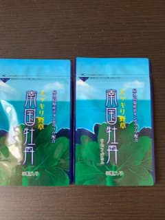 ゆきねこ様専用　南国牡丹　30粒×2袋のサムネイル