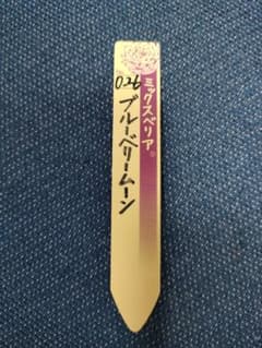 おらいさん　ミックスベリア　ブルーベリームーン　札のみのサムネイル