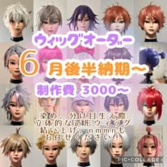 コスプレ ウィッグオーダー 受付中 納期6月半ば〜 - メルカリ