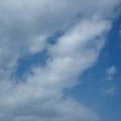ハイム様専用のサムネイル