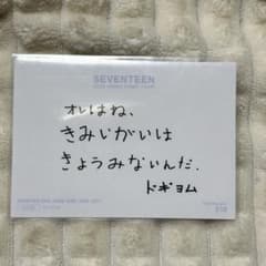 SEVENTEEN ドギョム DOME TOUR メッセージトレカ - メルカリ
