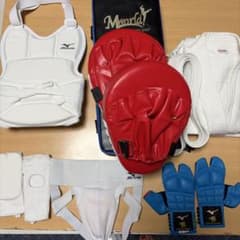 MIZUNO 空手 防具セット JKF公認 キック、パンチミット付きフルセットのサムネイル