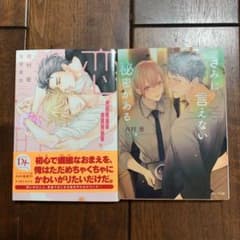 BL小説　2冊セットのサムネイル