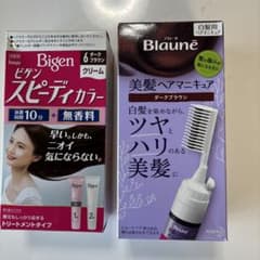 白髪染めセット ビゲン スピーディカラー ブローネ ヘアマニキュアのサムネイル