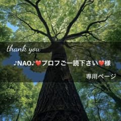 ♪NAO♪❤️プロフご一読下さい❤️様専用ページ(7月6日までお取置き