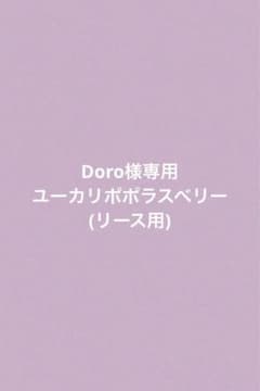 Doro様専用ページのサムネイル
