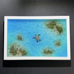 ウミガメ レジンアート オーシャンアート ホヌ 海 アート 波紋 A4