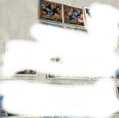 しばライオン同封❌様専用 - メルカリ