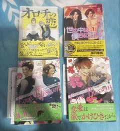 裁断済】 雁須磨子、泥星ルカ、高口里純 4冊セット - メルカリ