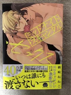 ミッドナイト・スキャンダル・セックス　特典ペーパー付きのサムネイル