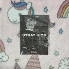 straykids フィリックス in生 限定版 ミニフォトブックのサムネイル