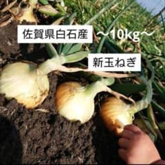 佐賀県白石産　新玉ねぎ　10kgのサムネイル
