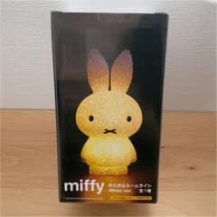 おけい様専用♡ミッフィー ライトのサムネイル