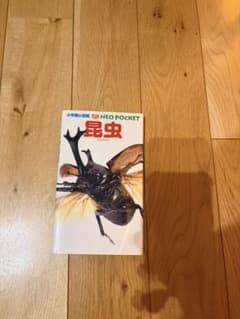 小学館の図鑑NEO POCKET 昆虫のサムネイル