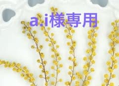 a.i様専用ページのサムネイル