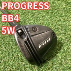 PROGRESS BB4 5W 18° TRPX カスタムシャフト