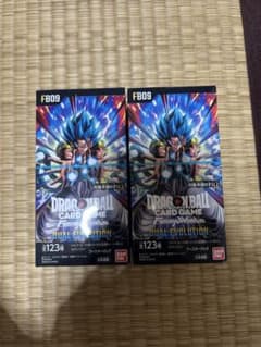 テープ付き DUAL EVOLUTION デュアルエボリューション 2BOX - メルカリ